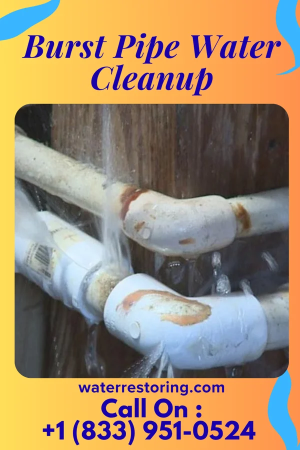 Burst Pipe Water Cleanup in Greasewood, AZ