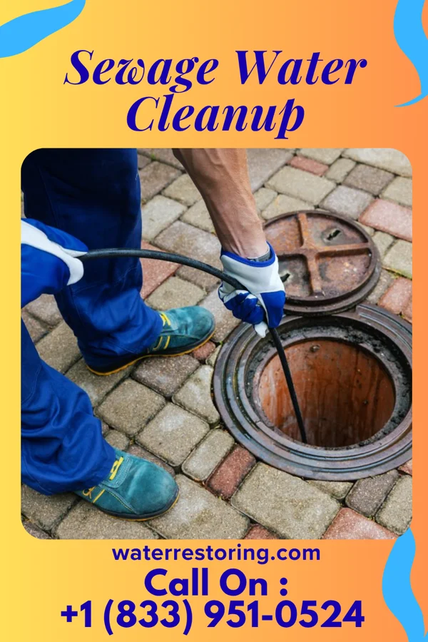 Sewage Water Cleanup in Greasewood, AZ